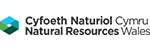 Premium Job From Natural Resources Wales