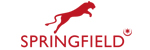 Premium Job From Springfield School