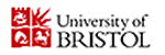 Premium Job From University of Bristol