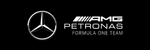 The Mercedes AMG-PETRONAS Formula One Team