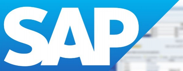 What does a SAP Professional do?