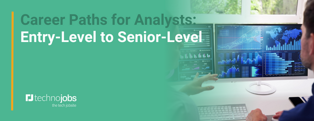 Career Paths for Analysts: Entry-Level to Senior Level