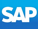 What does a SAP Professional do?